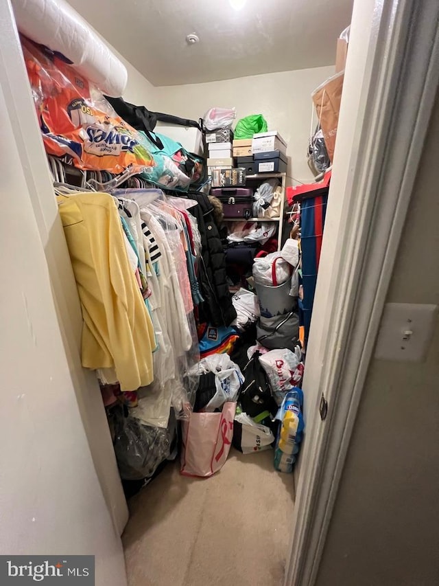 view of spacious closet