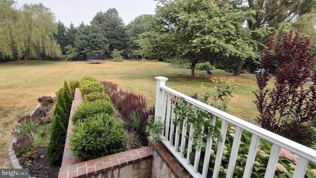 view of yard featuring a trampoline