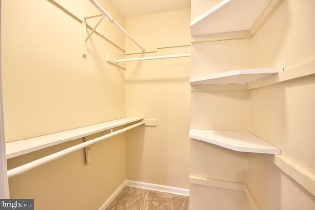 spacious closet with carpet flooring