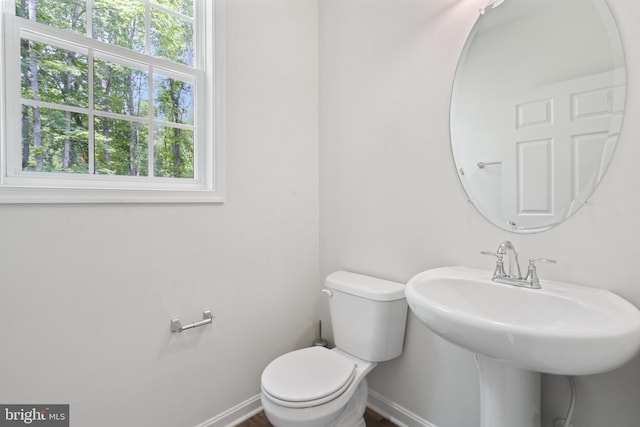 bathroom featuring sink, a wealth of natural light, and toilet