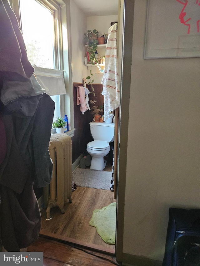 bathroom featuring wood-type flooring, toilet, and radiator