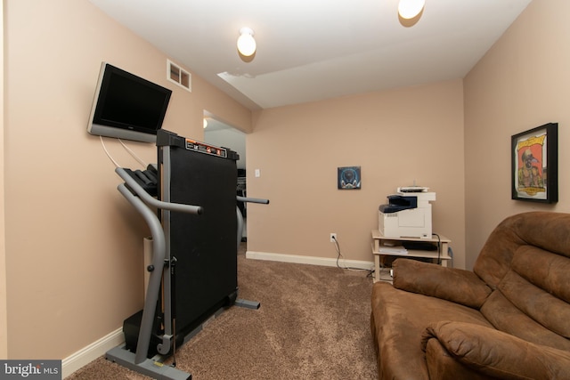 exercise room with carpet