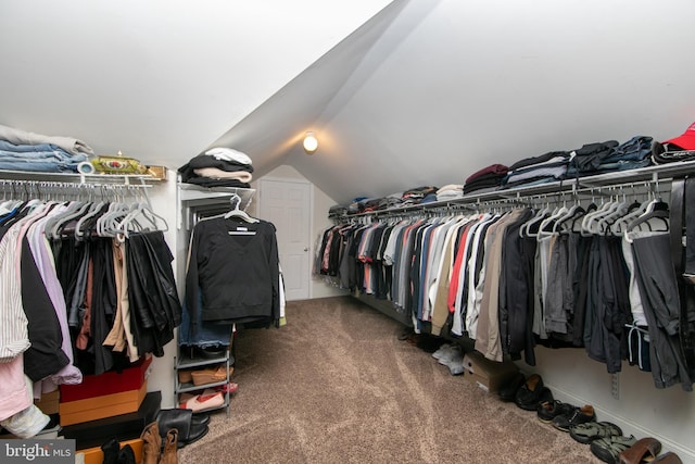 spacious closet featuring carpet and vaulted ceiling