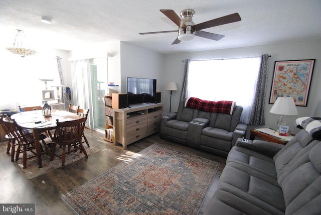 living room featuring ceiling fan with notable chandelier, plenty of natural light, and dark hardwood / wood-style flooring