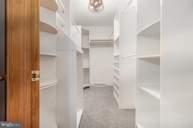 walk in closet with light carpet