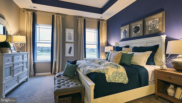 carpeted bedroom featuring a tray ceiling and multiple windows