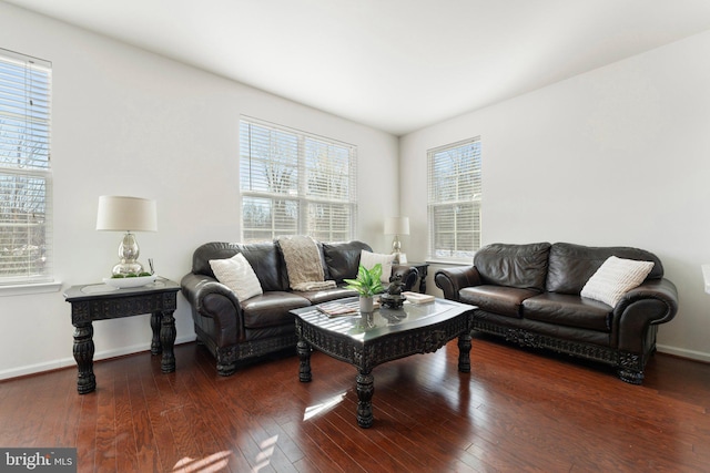 living room featuring dark hardwood / wood-style floors