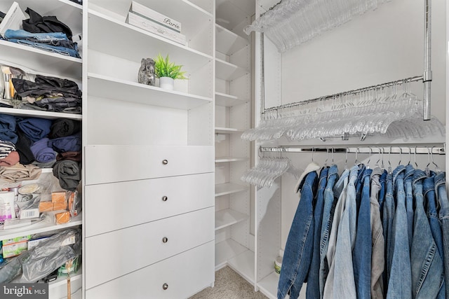 spacious closet featuring carpet flooring