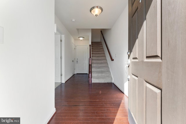 entrance foyer featuring dark hardwood / wood-style floors