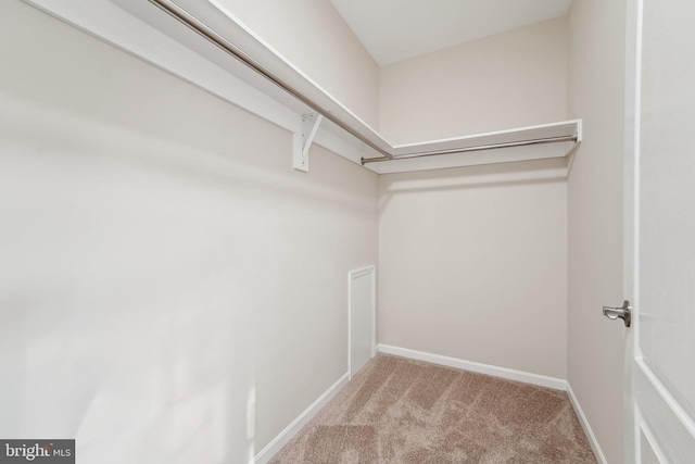 walk in closet featuring light colored carpet