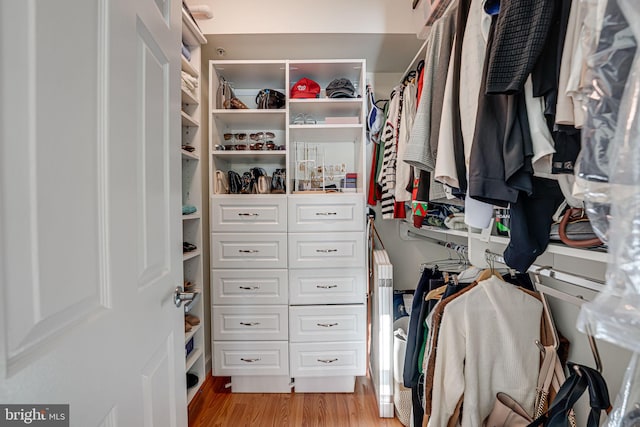 spacious closet featuring light wood finished floors