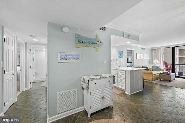 kitchen featuring sink, white cabinetry, and crown molding