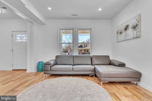 living room with wood-type flooring