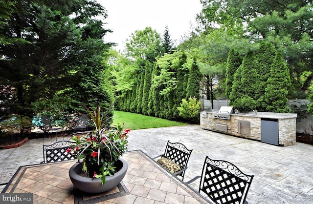 view of patio / terrace featuring exterior kitchen and a grill