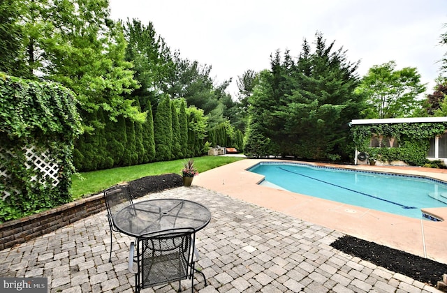 view of swimming pool featuring a patio area