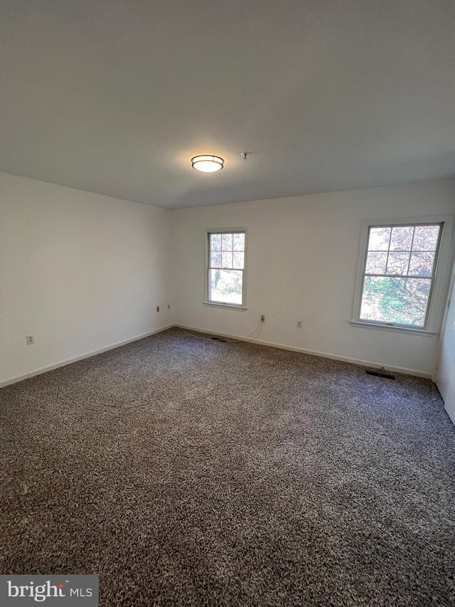 spare room featuring a wealth of natural light and carpet flooring