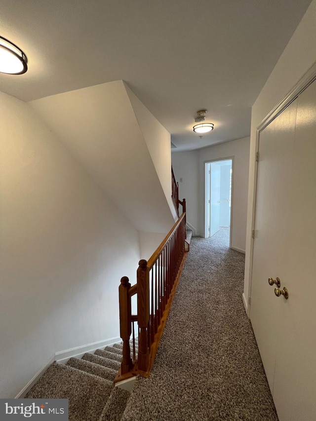 corridor with carpet flooring