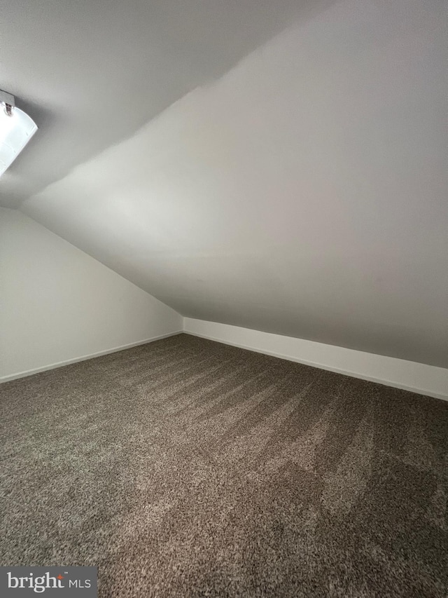 additional living space with vaulted ceiling and carpet flooring