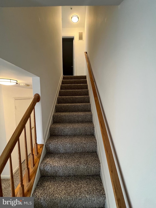 stairway featuring carpet