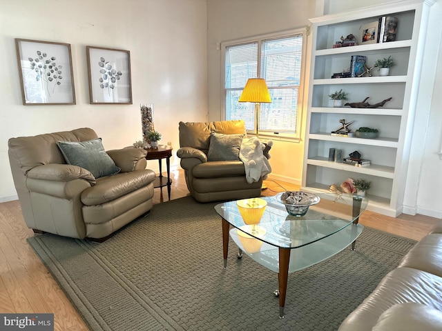 living room with hardwood / wood-style flooring and built in shelves