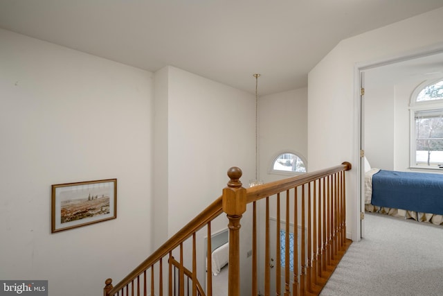 corridor with a wealth of natural light and carpet