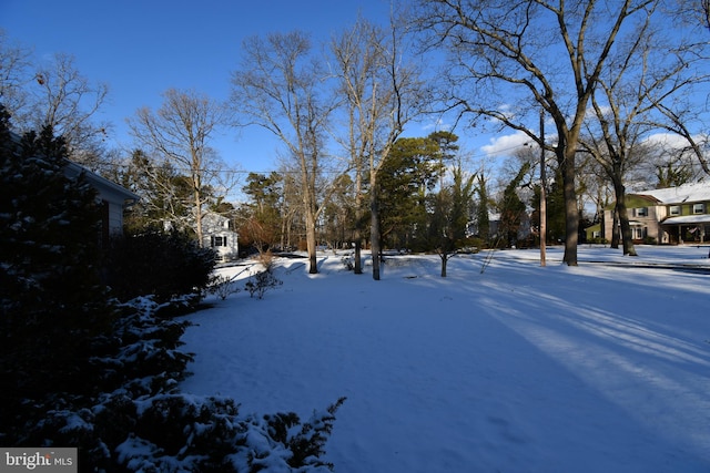 view of snowy yard