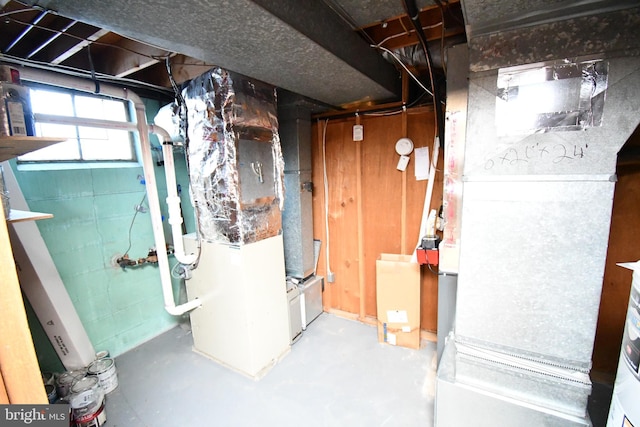 basement with heating unit