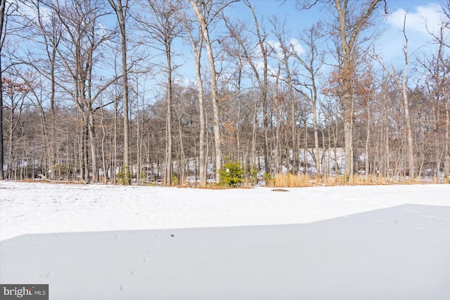 view of yard layered in snow