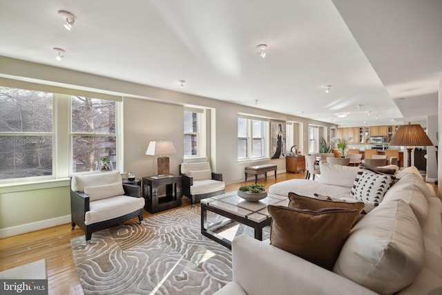 living room featuring light hardwood / wood-style flooring