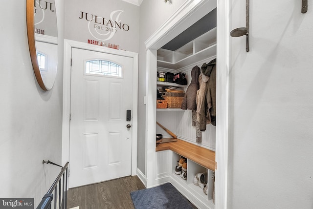 mudroom featuring dark hardwood / wood-style floors