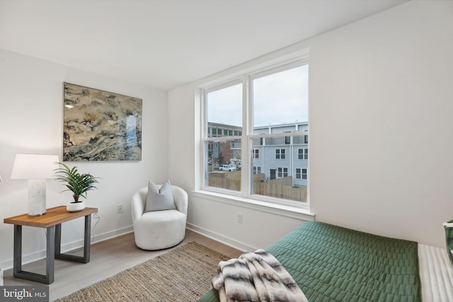 living area featuring light hardwood / wood-style flooring