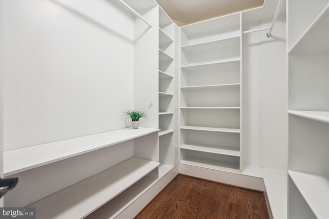 walk in closet with dark wood-type flooring