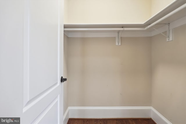 spacious closet featuring dark wood finished floors