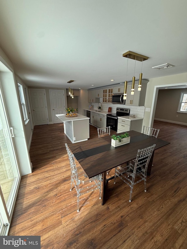 dining room featuring sink and dark wood-type flooring