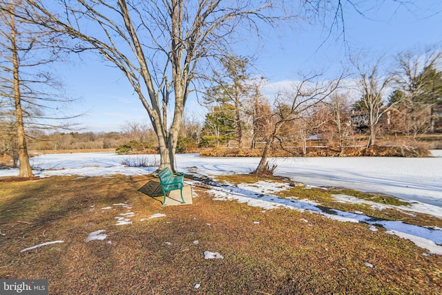 view of yard covered in snow