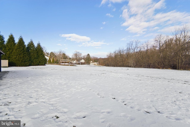 view of snowy yard