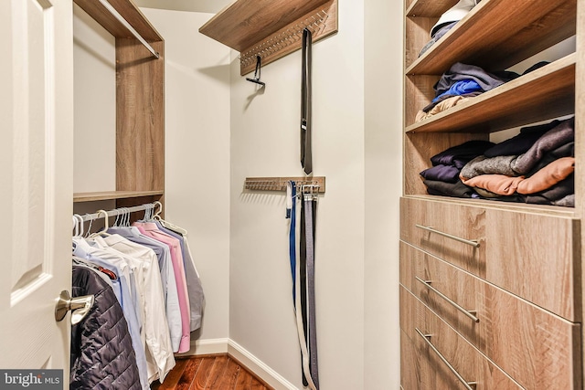 spacious closet with dark hardwood / wood-style flooring