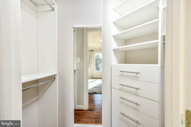 walk in closet with wood-type flooring