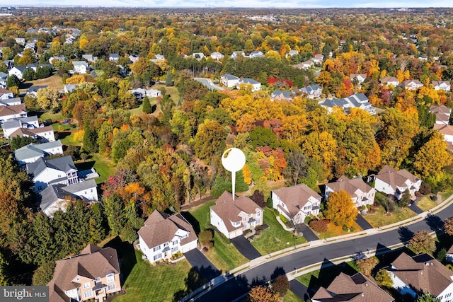 bird's eye view