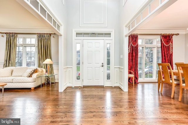 foyer entrance with a high ceiling, wood-type flooring, and a wealth of natural light