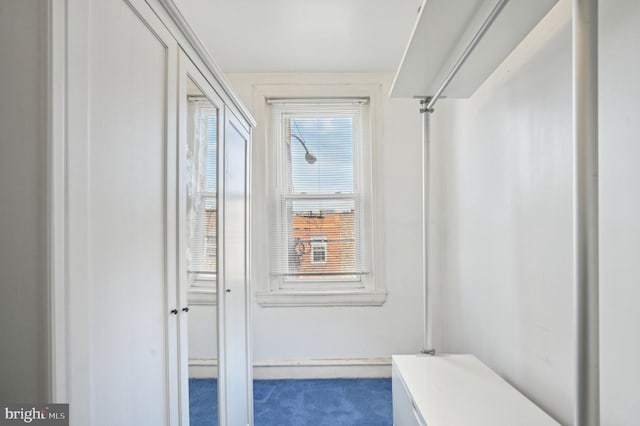 interior space featuring a wealth of natural light and carpet flooring