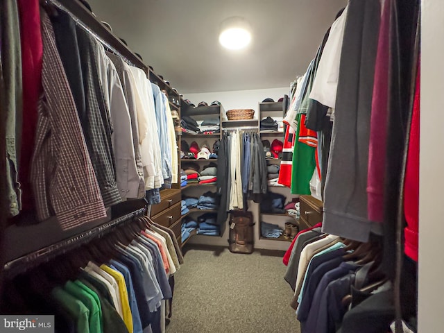 walk in closet featuring carpet