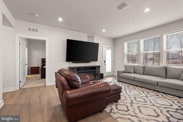 living room featuring a fireplace and light hardwood / wood-style flooring