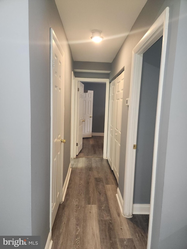 hall featuring dark wood-type flooring