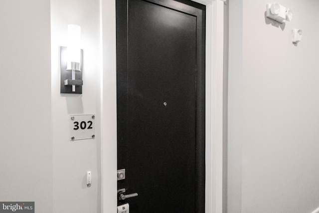 2 Stationmaster St SE Unit 302, Leesburg, VA 20175 - view of doorway to property