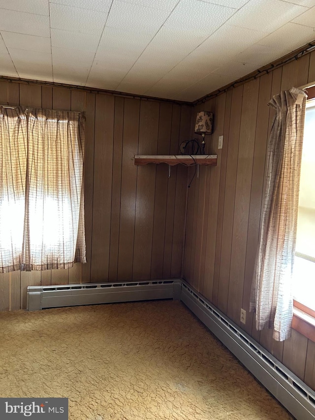 unfurnished room featuring plenty of natural light, carpet flooring, and wood walls