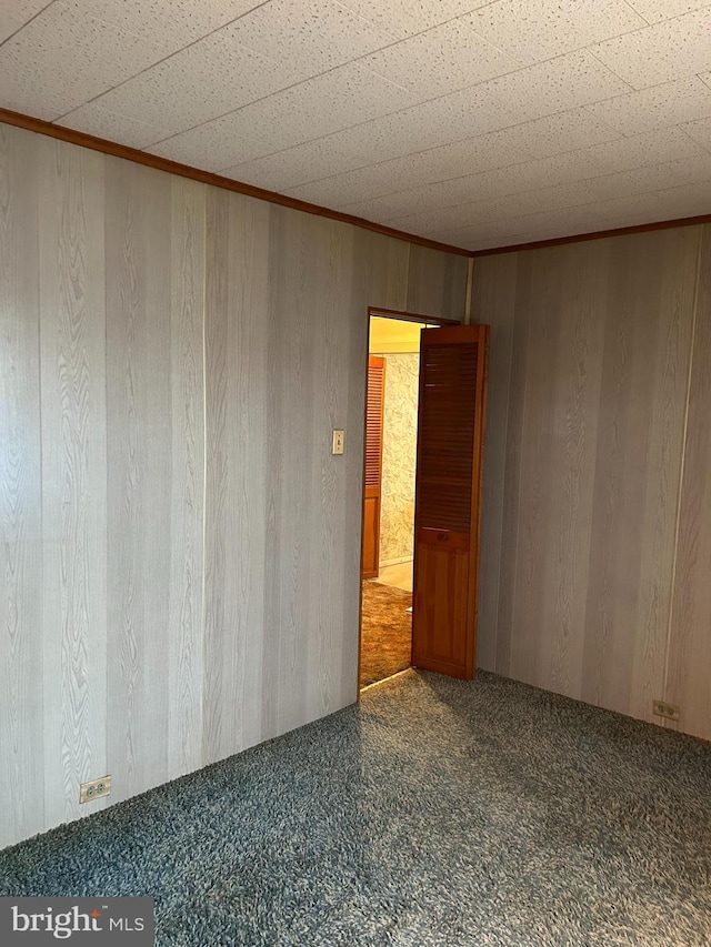 spare room featuring carpet and wooden walls