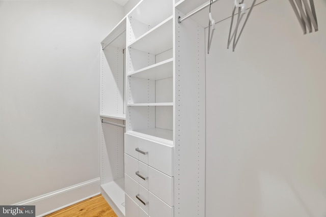 spacious closet featuring hardwood / wood-style floors