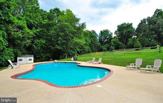 view of swimming pool with a patio, a lawn, and a shed