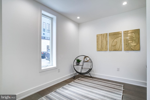 living area with dark hardwood / wood-style floors